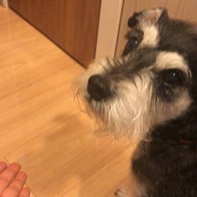 やる気ゼロの画像