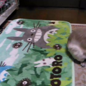 回る回る～ぐるぐる～～の画像