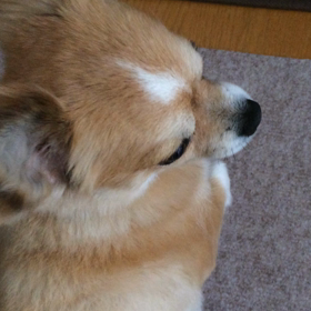 ママちゃんへ。【追記】の画像