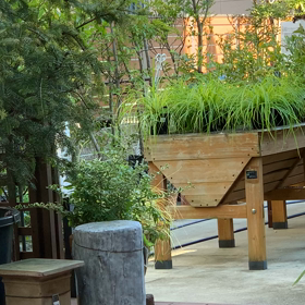 9/24（金）昨日からクエン酸追加で、、の画像