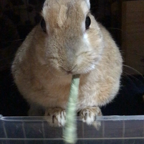 穂先が好き。の画像