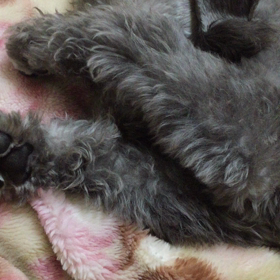 ▶︎まぶしい…の画像