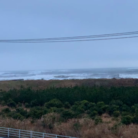 1月29日千葉北、東浪見の朝の波の画像