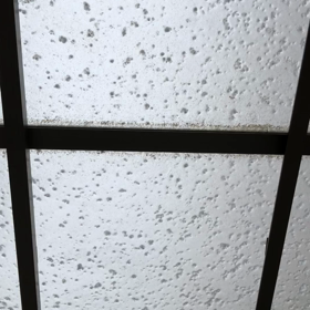 ＧＷの過ごし方の画像