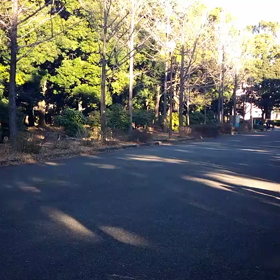 越谷春季記録会リレー選考会(男子)①の画像