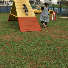 ラキ学校の画像