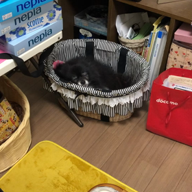 越後の管理人さんへ…の画像