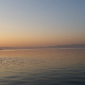 11/16交流会のお知らせの画像