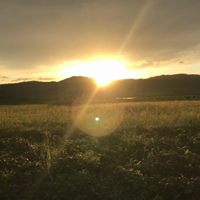 おはようございますの画像