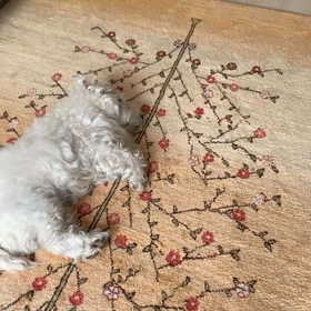 掃除機動じないよの画像