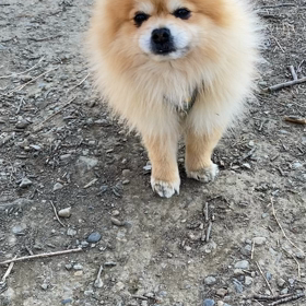 おはようございますの画像