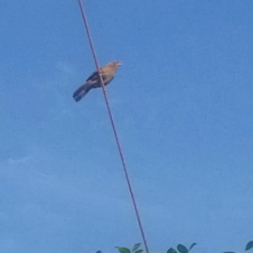 目標達成!!!-2㌔ダイエット成功!♡の画像