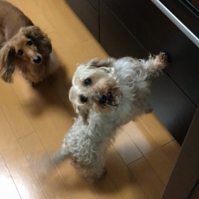 食事の前の画像