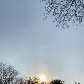 こっそり朝に、、の画像