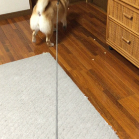 福来たれ！の画像