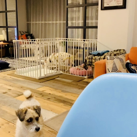 お見合いですよ！の画像