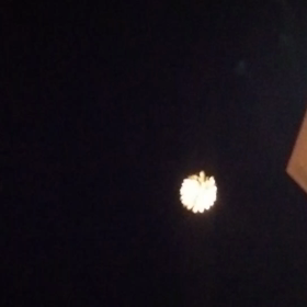 夏の風物詩の画像