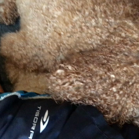 今日も元気に！の画像