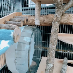 マイホーム紹介٩(ˊᗜˋ*)و✧*｡の画像