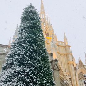 Today's OMOTESANDOの画像