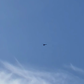 さっき。の画像