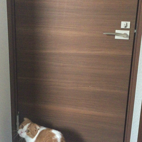 お久しぶりです^ ^の画像