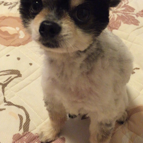 動画テストの画像