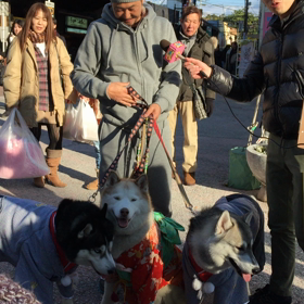 ハピくるっ！の取材中の画像