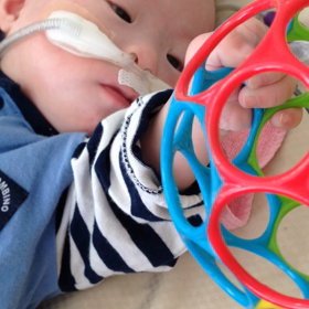 今日のつばちゃんの画像