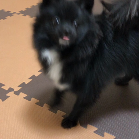 2019年2月5日 NEWボールの画像