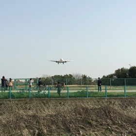 ジャンボのおへそをさがしに。。。の画像