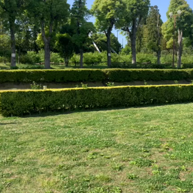 往復ダッシュ⑦の画像