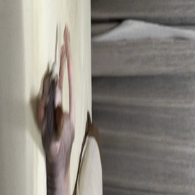 高速猫じゃらしの画像