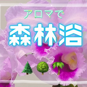 2021/11/22の画像