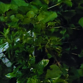 季節は進むの画像