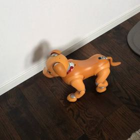 ラジオ体操しとった件の画像