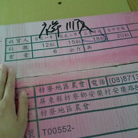 今年初のマンゴーの画像