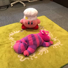 こまどり兄妹②の画像