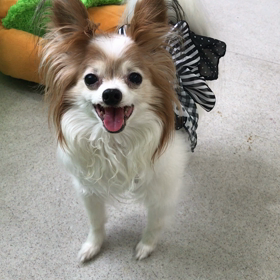 ♪プレイルーム動画♪②の画像