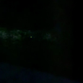 ホタルを見に行くの画像