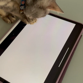 ただただの画像