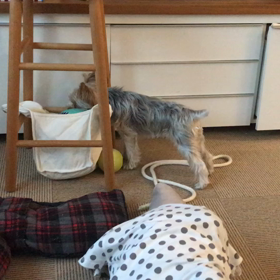 外してみたけどの画像