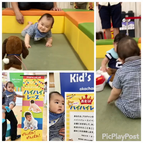 9m20d☆ハイハイレースの画像