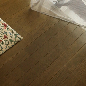 みかん、蚊帳から脱走を覚えた！の画像