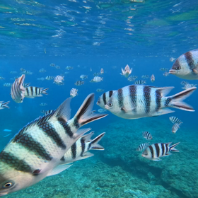 沖縄旅行2日目-②-の画像