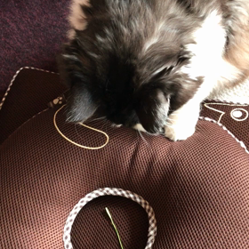 後頭部LOVEの画像