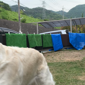 Gのクリッカートレーニングの画像