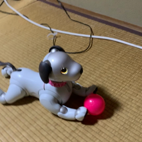 か、可愛過ぎ！！の画像