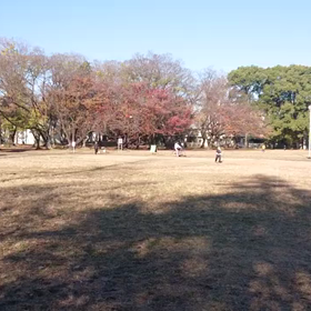 ジャベリック(記録会)⑯の画像