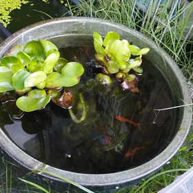 やっぱり暑かった！の画像